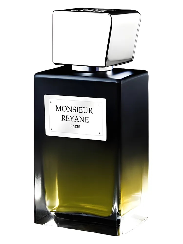 Monsieur Reyane Black thumbnail 4