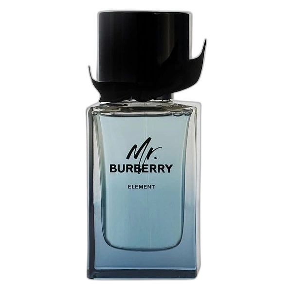 Mr Burberry Element — Burberry