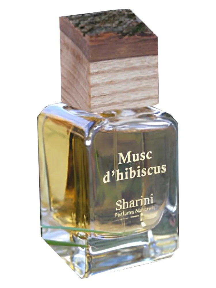 Musc d'Hibiscus thumbnail 4