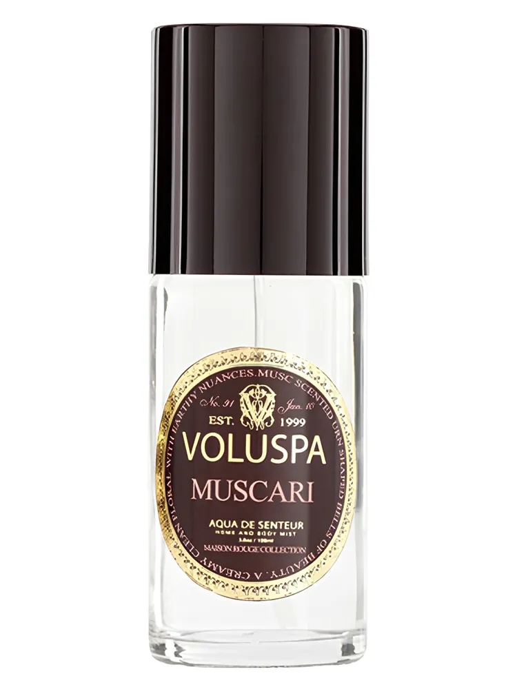 Muscari thumbnail 4