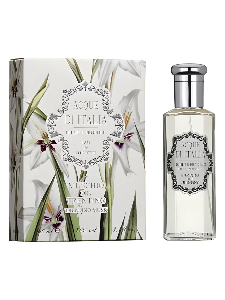 Muschio del Trentino