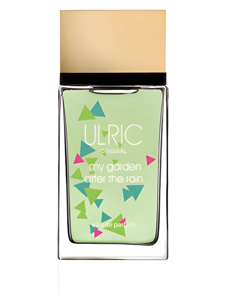 My Garden After The Rain