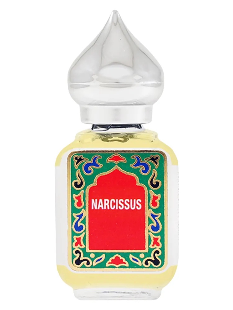 Narcissus thumbnail 4