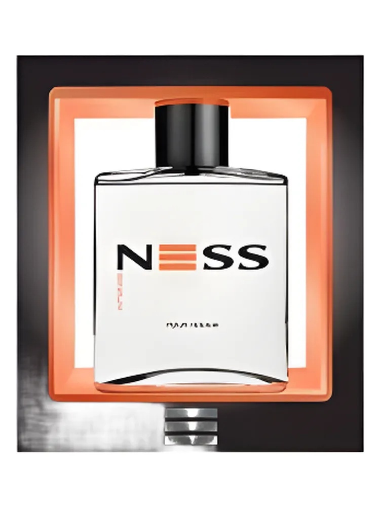Ness INTENSE thumbnail 4