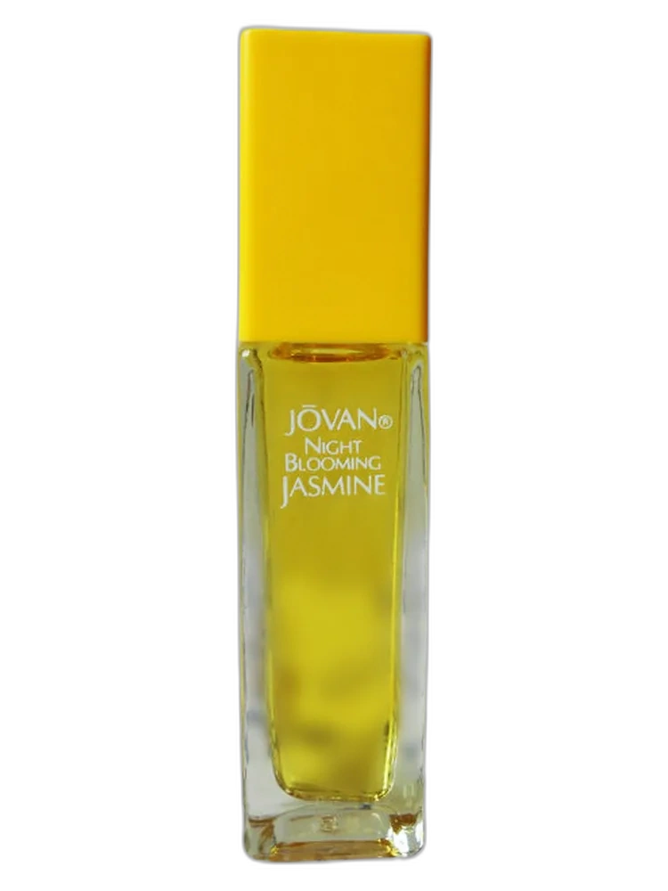 Night Blooming Jasmine — Jovan