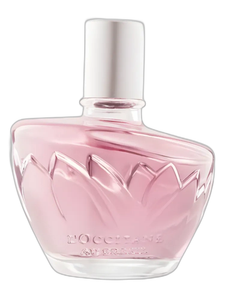 Ninfa das Aguas Fascinio L'Occitane Au Bresil — L’Occitane Au Brésil