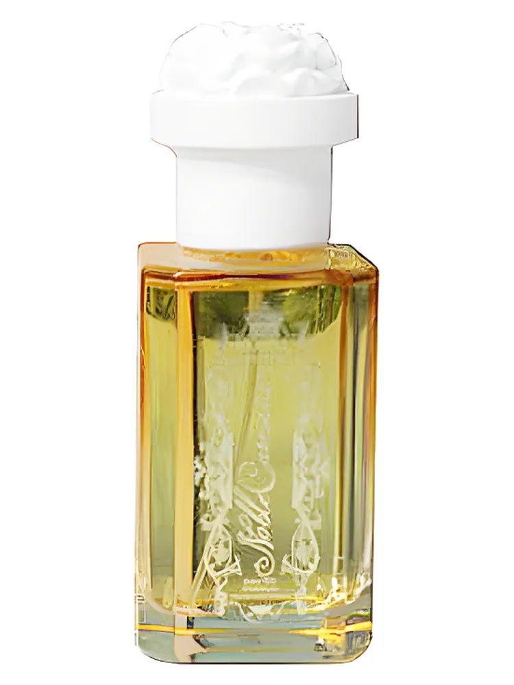 Miniatura 4 de Noble Carnation