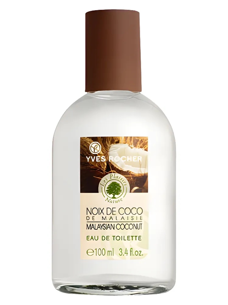Noix de Coco de Malaisie thumbnail 4