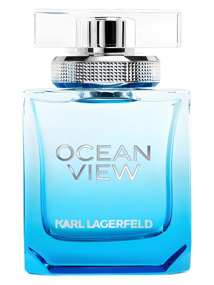 Ocean View For Men thumbnail 4