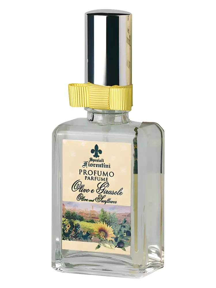 Miniatura 4 de Olivo e Girasole