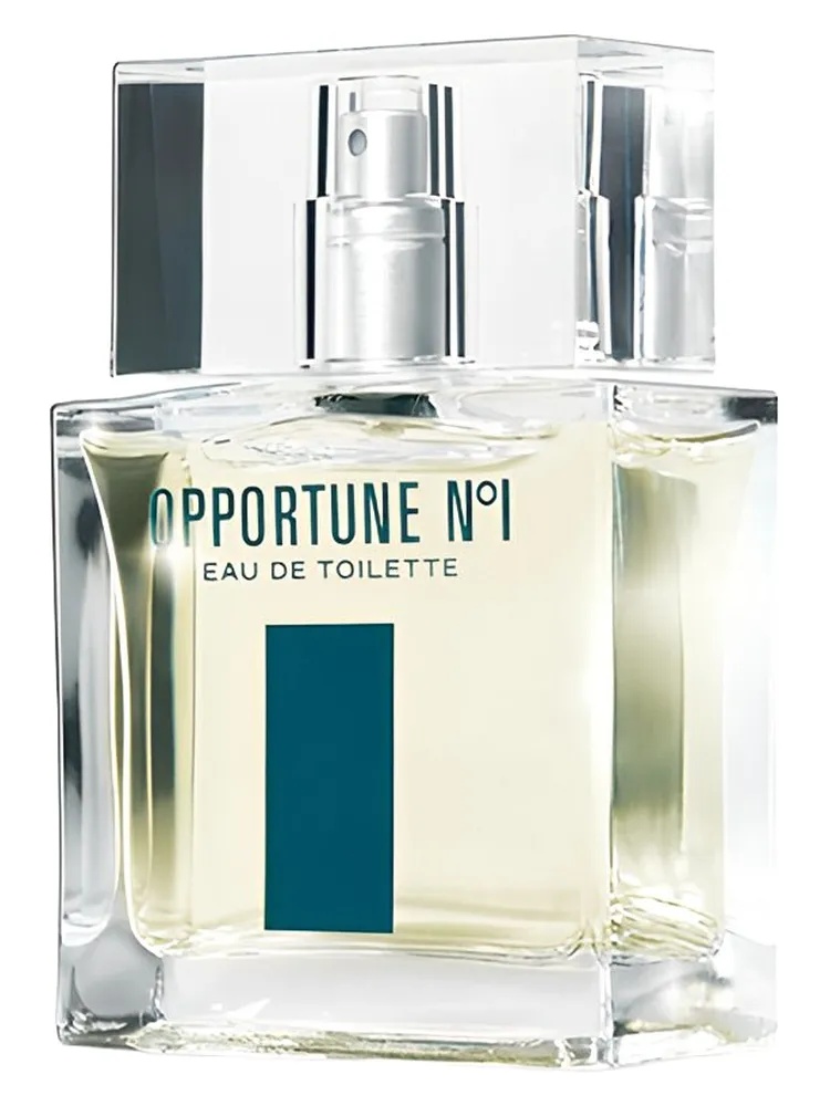 Opportune No1 thumbnail 4