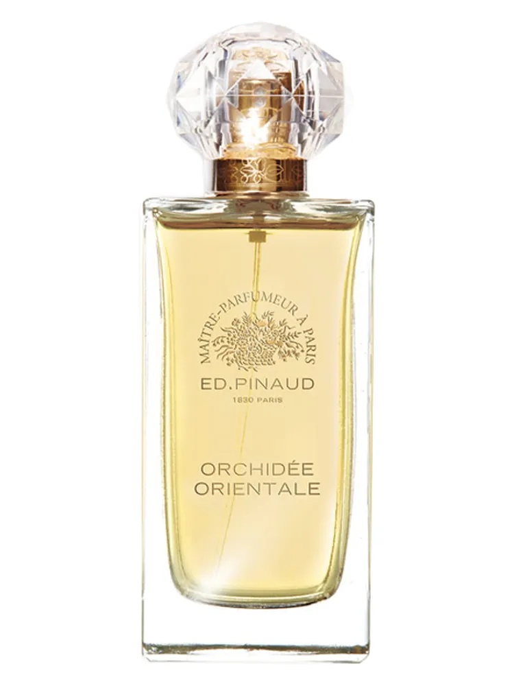 Orchidée Orientale thumbnail 4