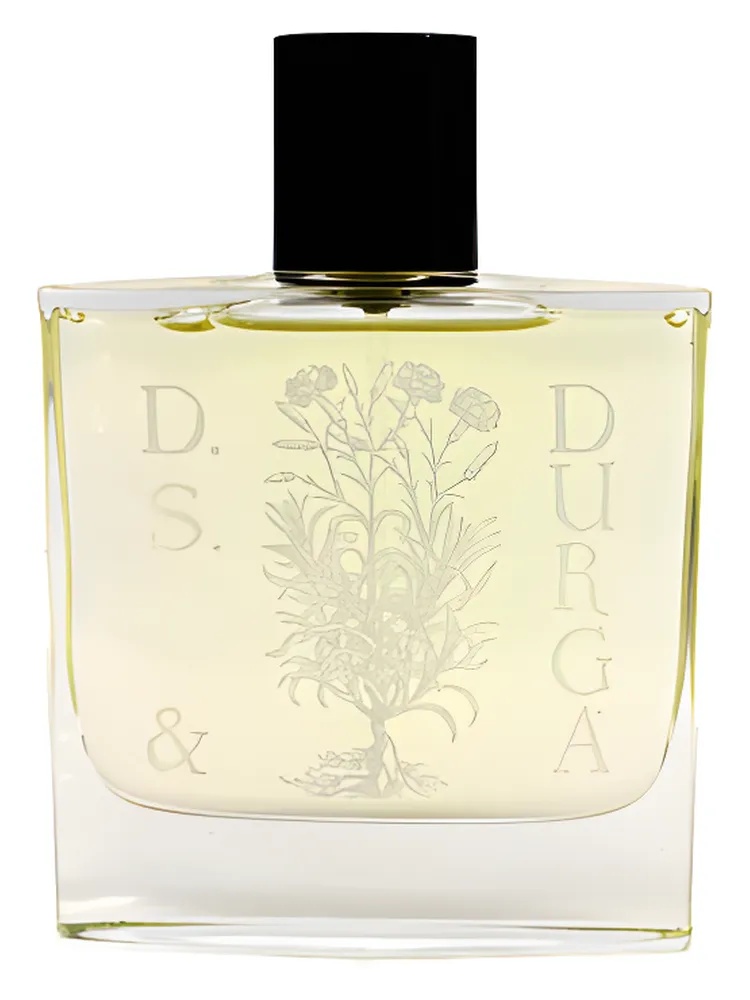 Osmanthus thumbnail 4