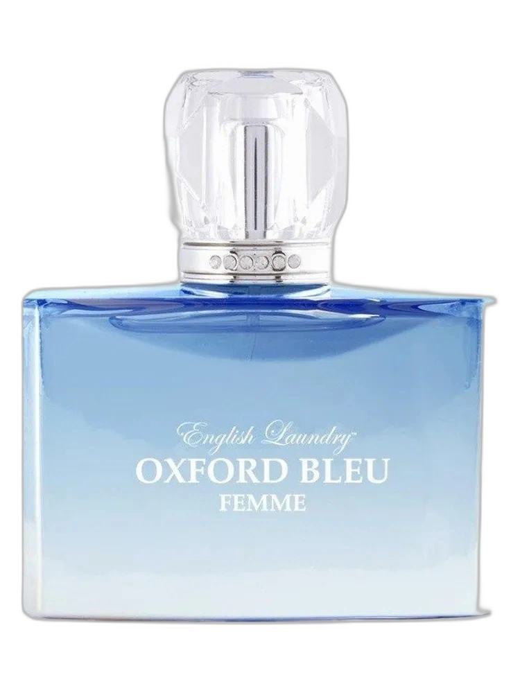 Oxford Bleu Femme — English Laundry