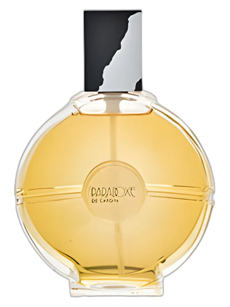 Paradoxe — Pierre Cardin