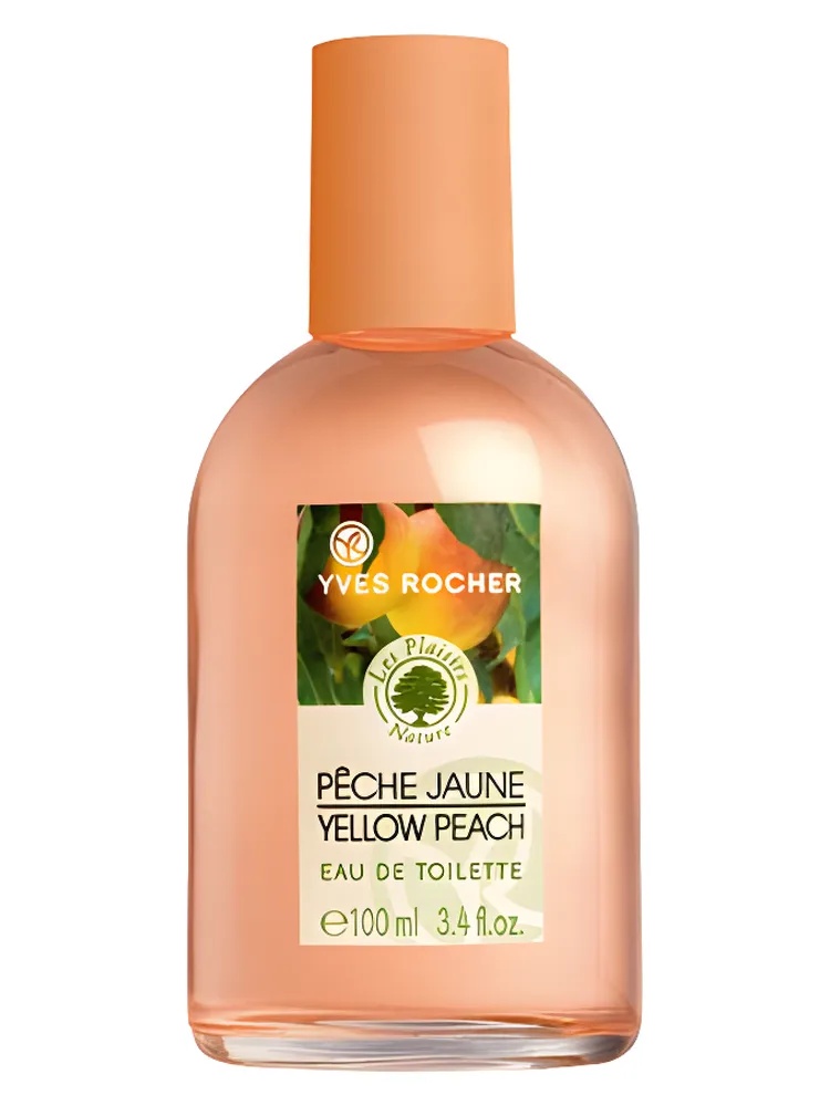 Peche Jaune thumbnail 4