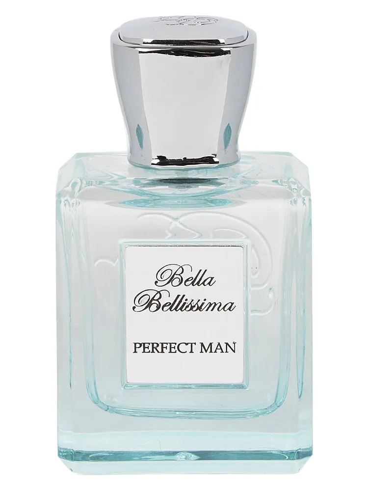 Perfect Man thumbnail 4