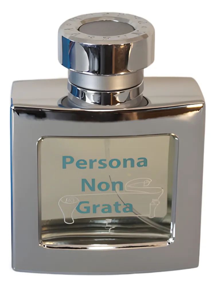 Persona Non Grata thumbnail 4