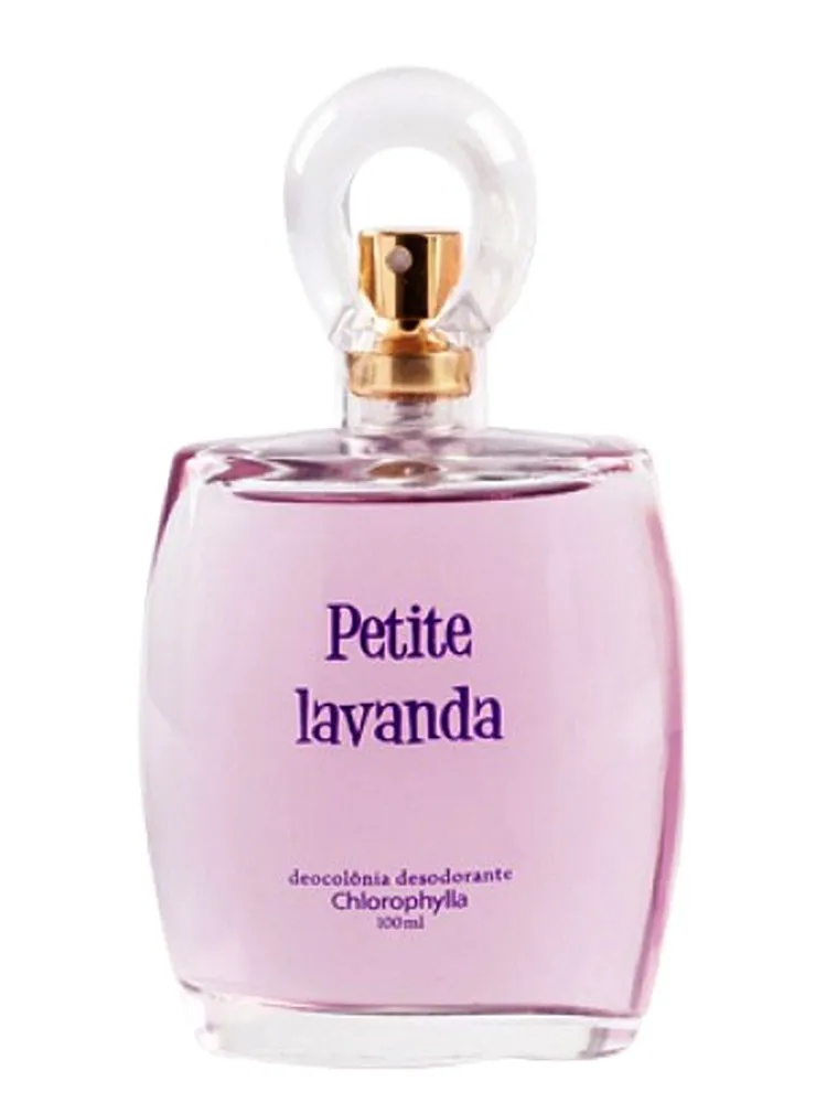Petite Lavanda thumbnail 4