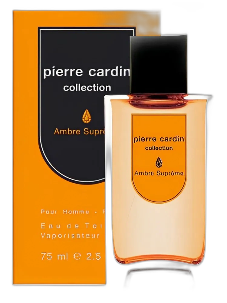 Collection Ambre Supreme — Pierre Cardin