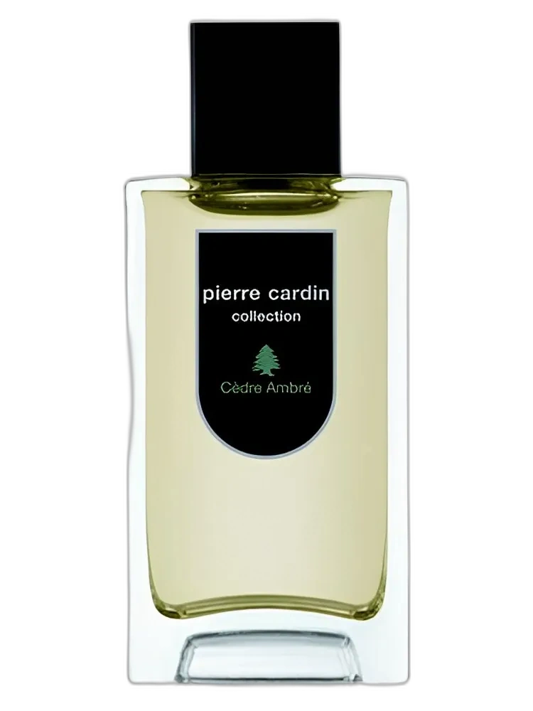 Collection Cedre-Ambre — Pierre Cardin