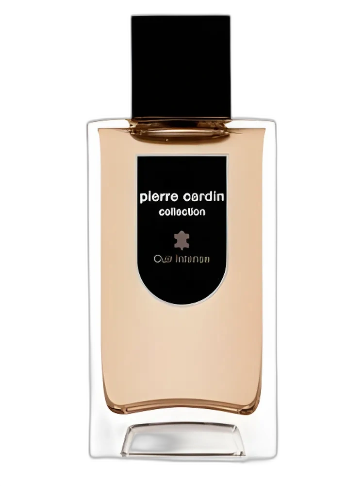 Collection Cuir Intense — Pierre Cardin