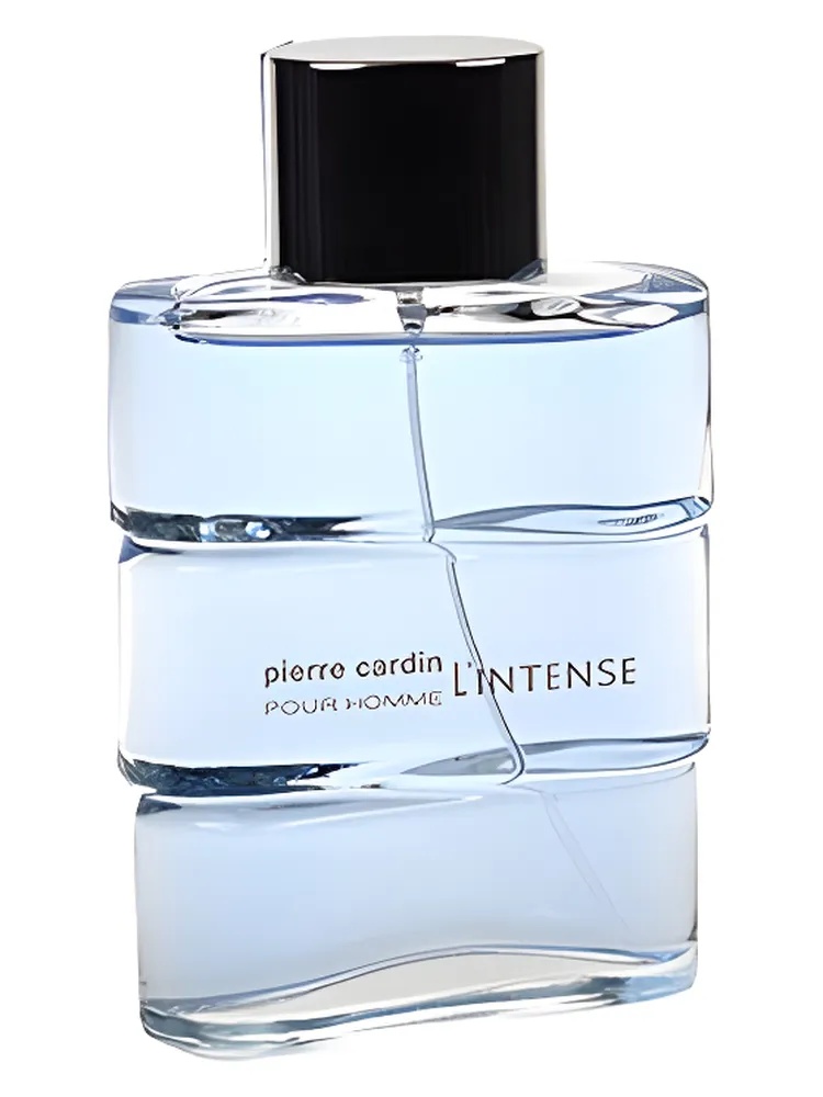 Pierre Cardin pour Homme l'Intense  thumbnail 4