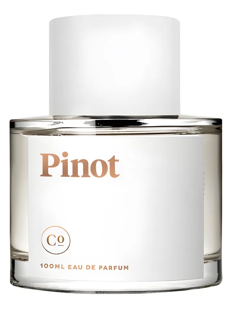 Pinot thumbnail 4