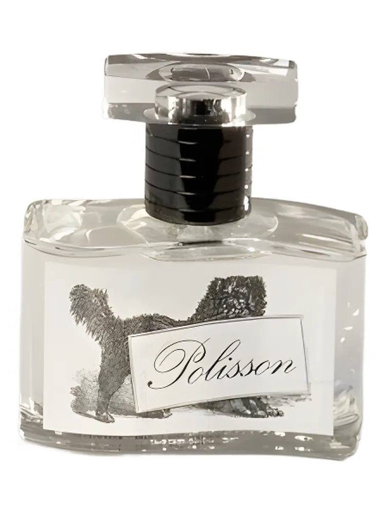 Polisson thumbnail 4