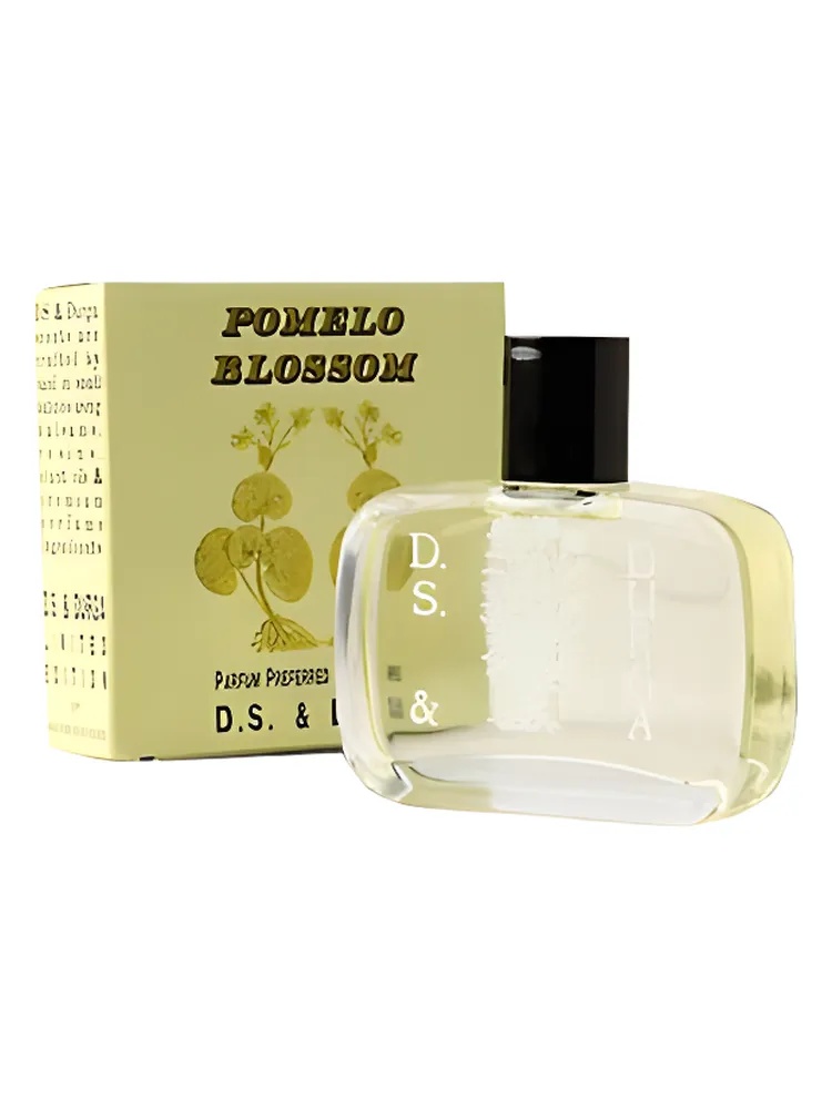 Pomelo Blossom thumbnail 4