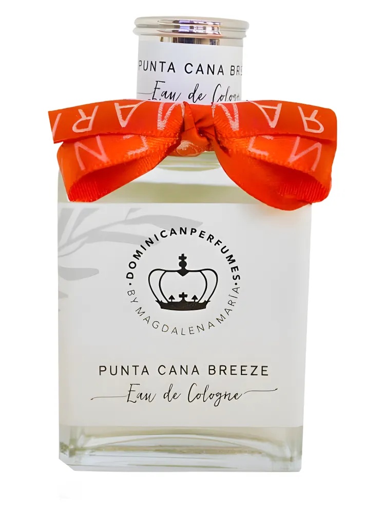 Miniatura 4 de Punta Cana Breeze