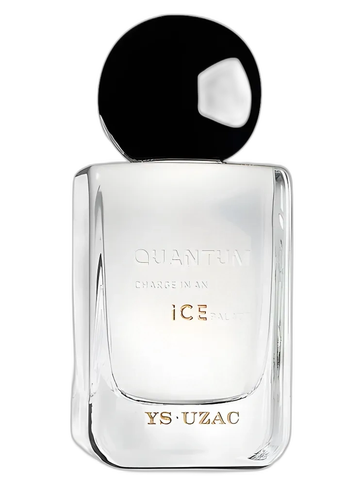 Quantum Charge In An Ice Palace unisex — Ys-Uzac