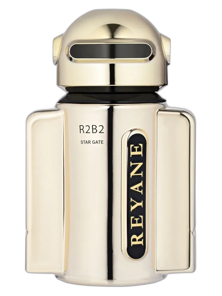 R2B2 Star Gate unisex — Reyane Tradition