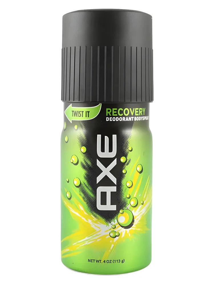 Miniatura 4 de Recover