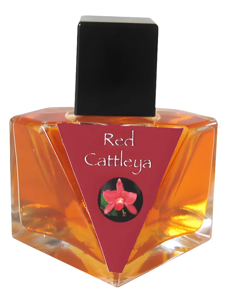 Red Cattleya thumbnail 4