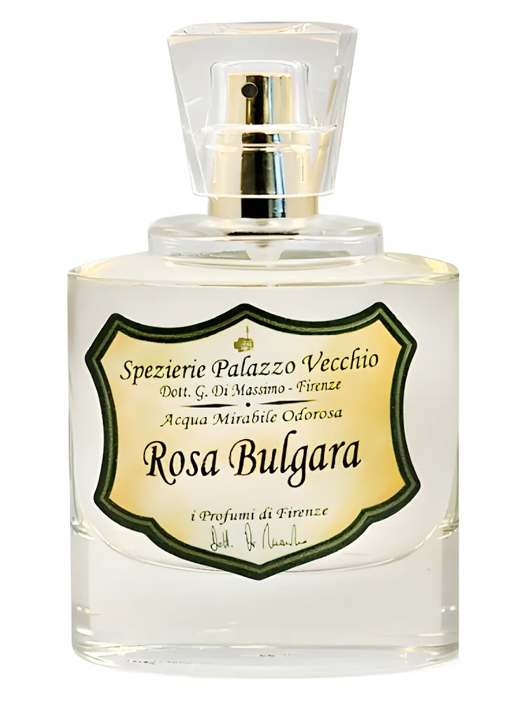 Rosa Bulgara thumbnail 4