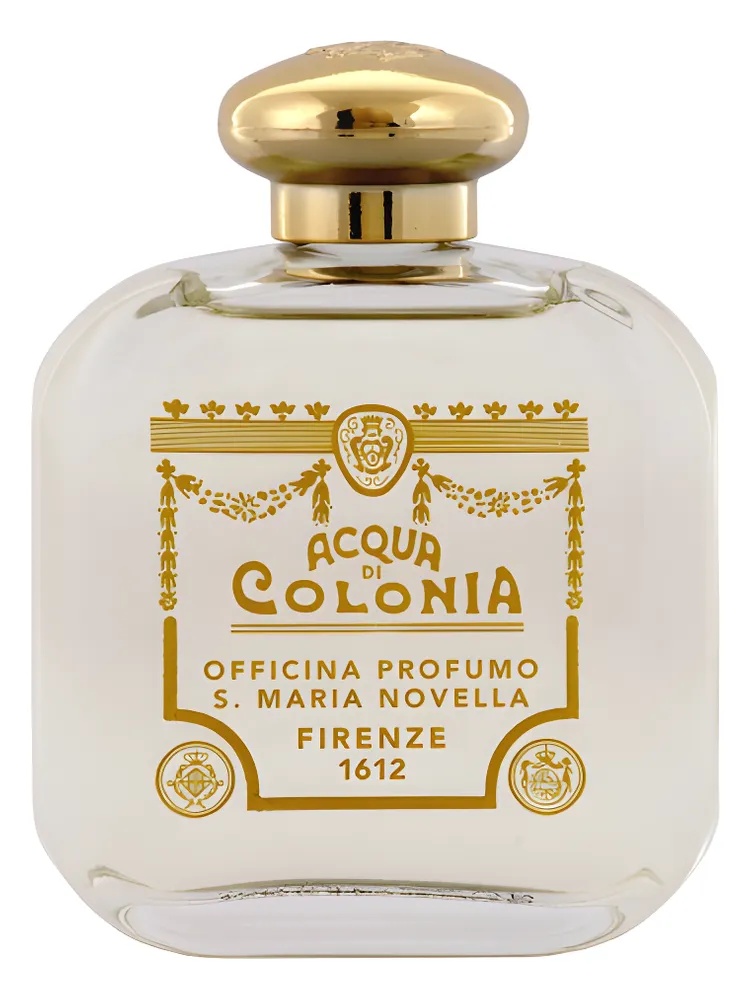 Santa Maria Novella Classica thumbnail 4