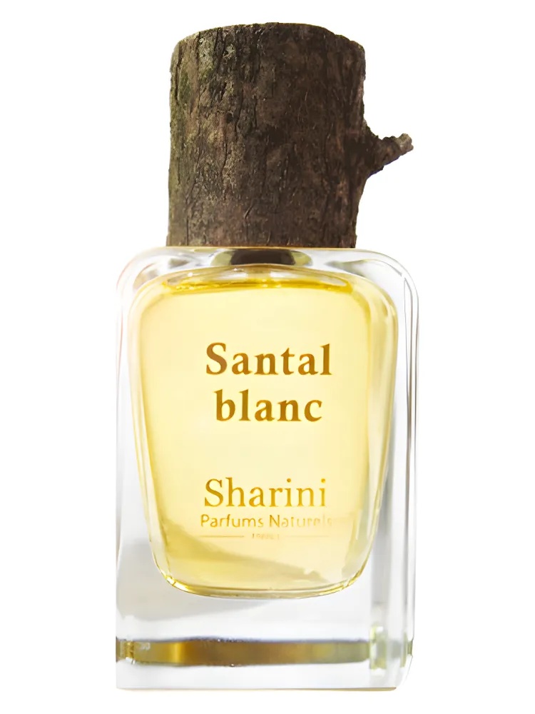 Santal Blanc thumbnail 4