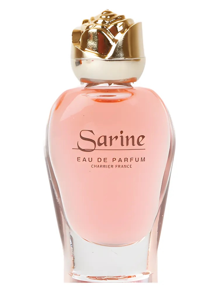 Sarine thumbnail 4