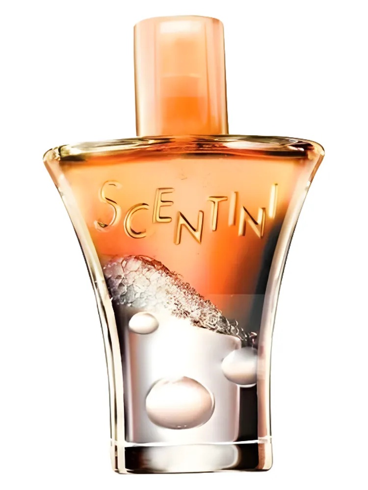 Scentini Citrus Chill