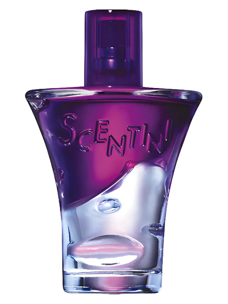 Scentini Nights Purple Pulse