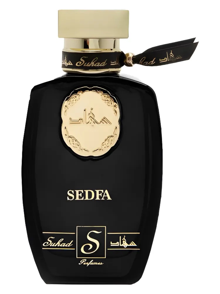 Sedfa thumbnail 4