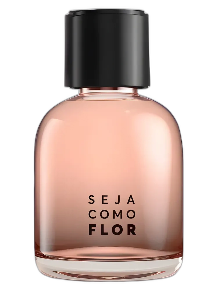 Seja Como Flor — Quem Disse Berenice