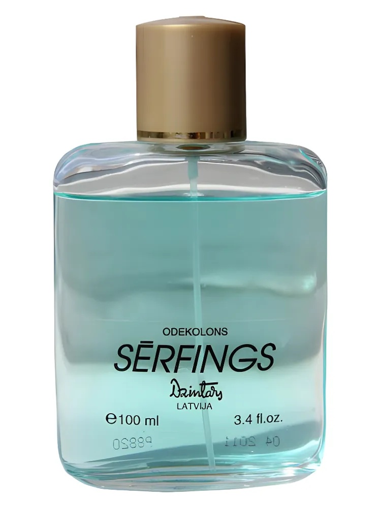 Sērfings (Surfing) thumbnail 4