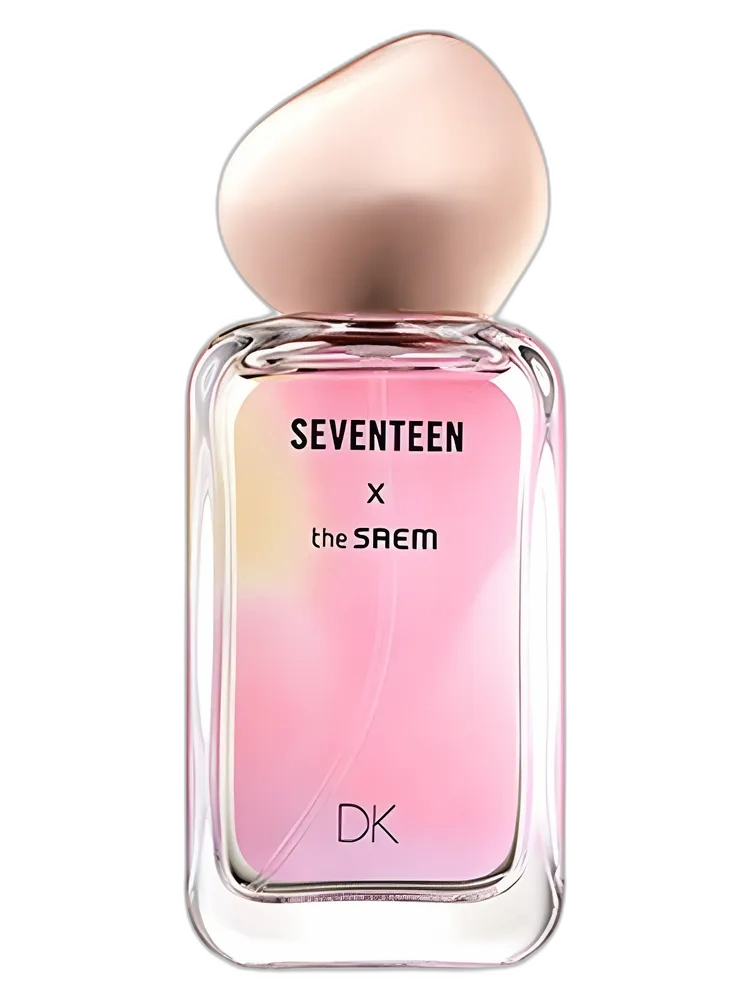 Seventeen X DK — The SAEM