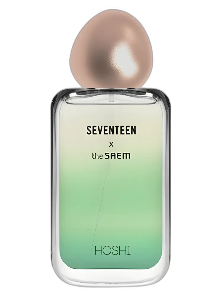 Seventeen X Hoshi — The SAEM