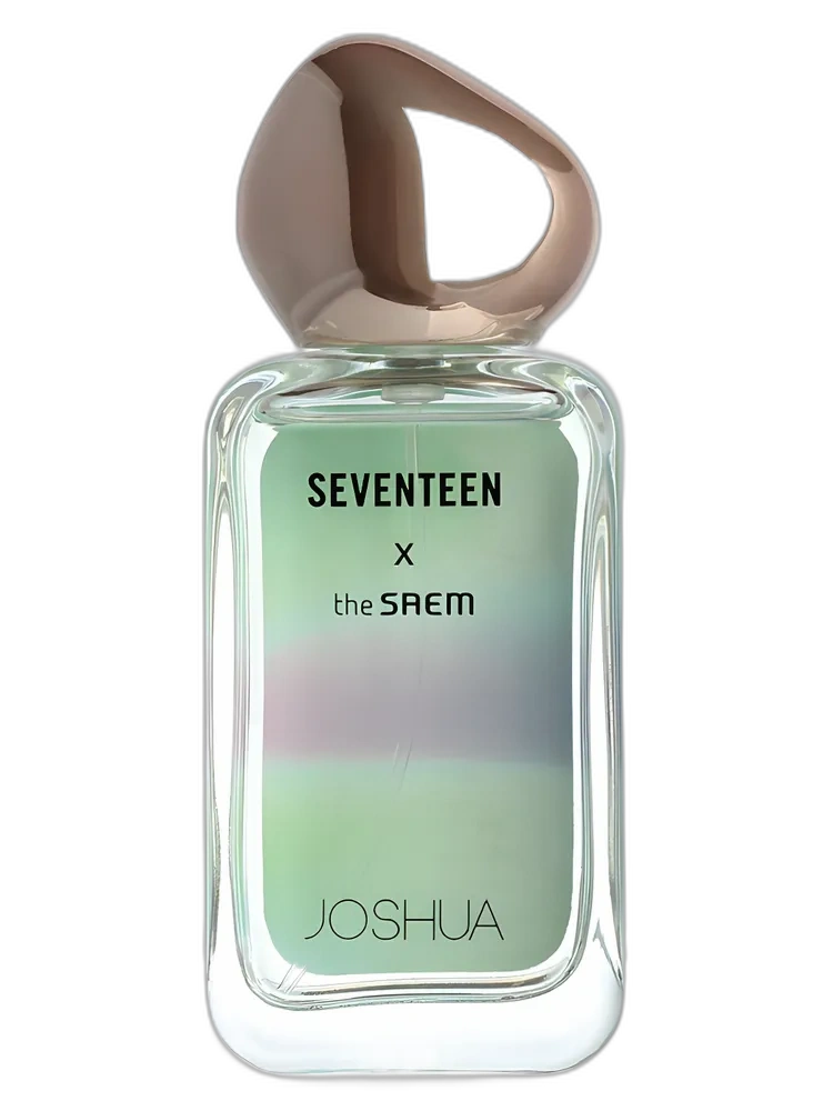 Seventeen X Joshua — The SAEM