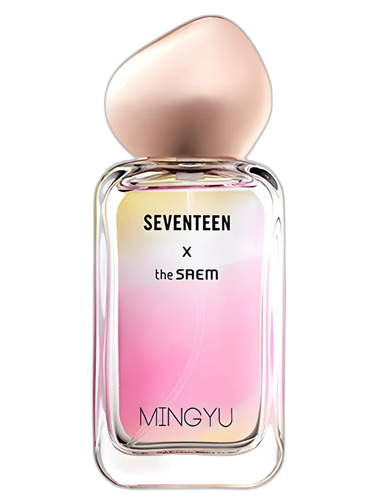 Seventeen X Mingyu — The SAEM