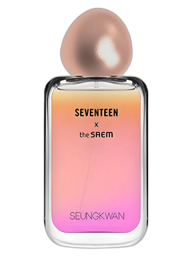 Seventeen X Seungkwan — The SAEM