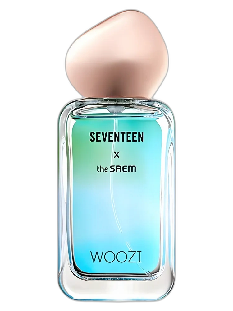 Seventeen X Woozi — The SAEM